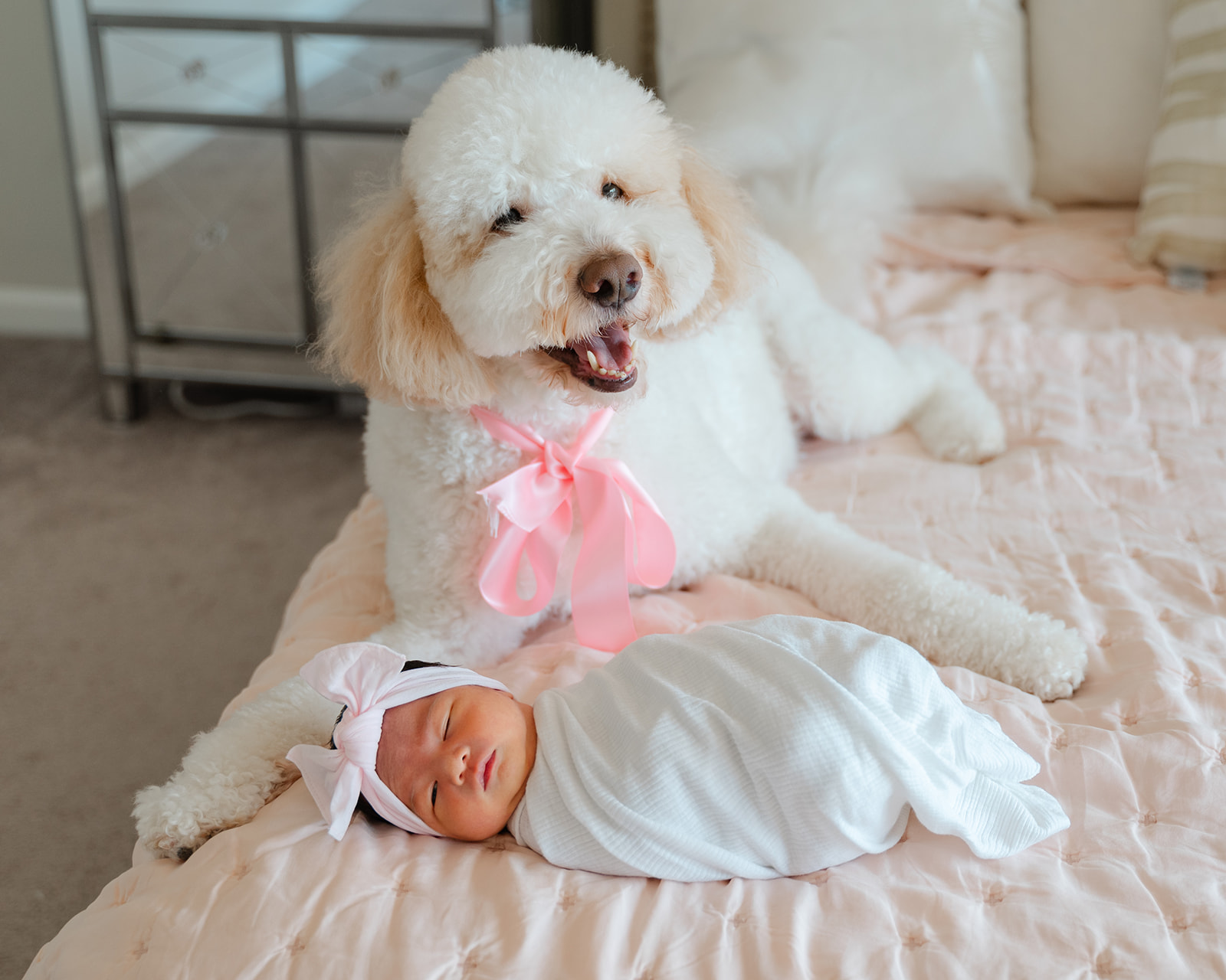 In-home newborn session with family dog in Atlanta, GA